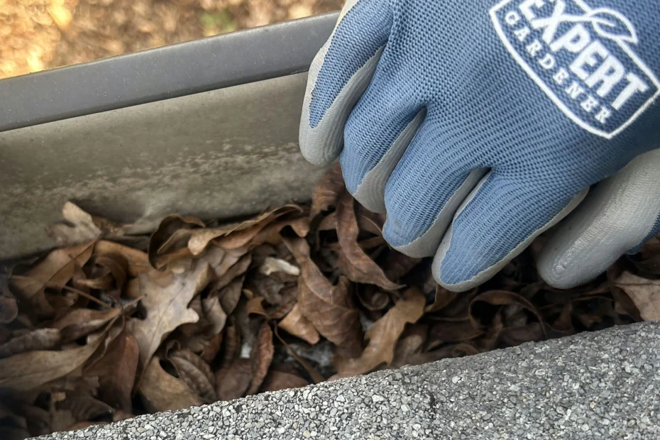 Mason Gutter Cleaning