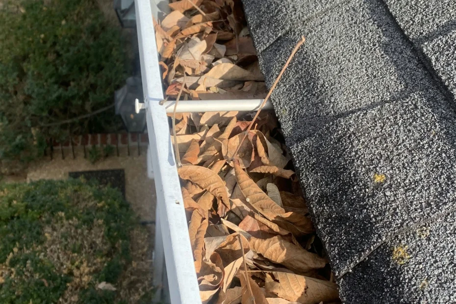 Mason Gutter Cleaning